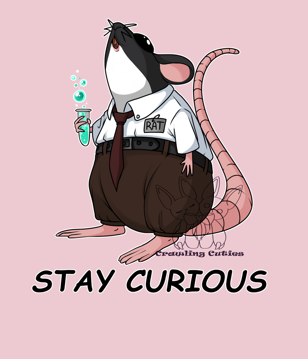 Stay curious! rat vinyl sticker