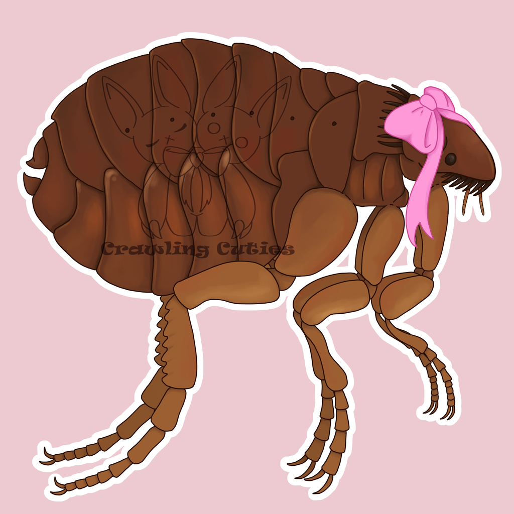 Adorable Flea Keychain