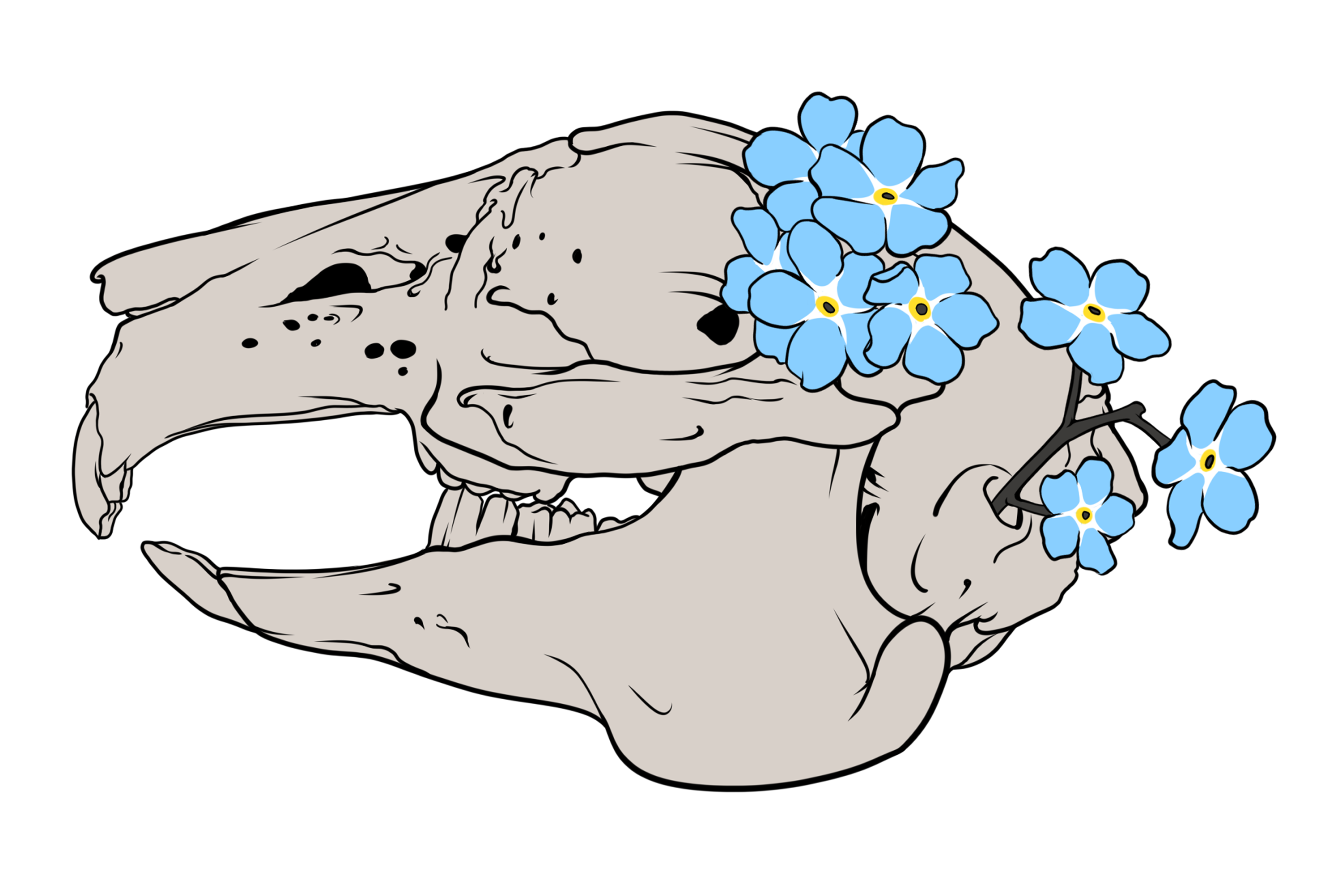 Bunny skull Pins LARGE!