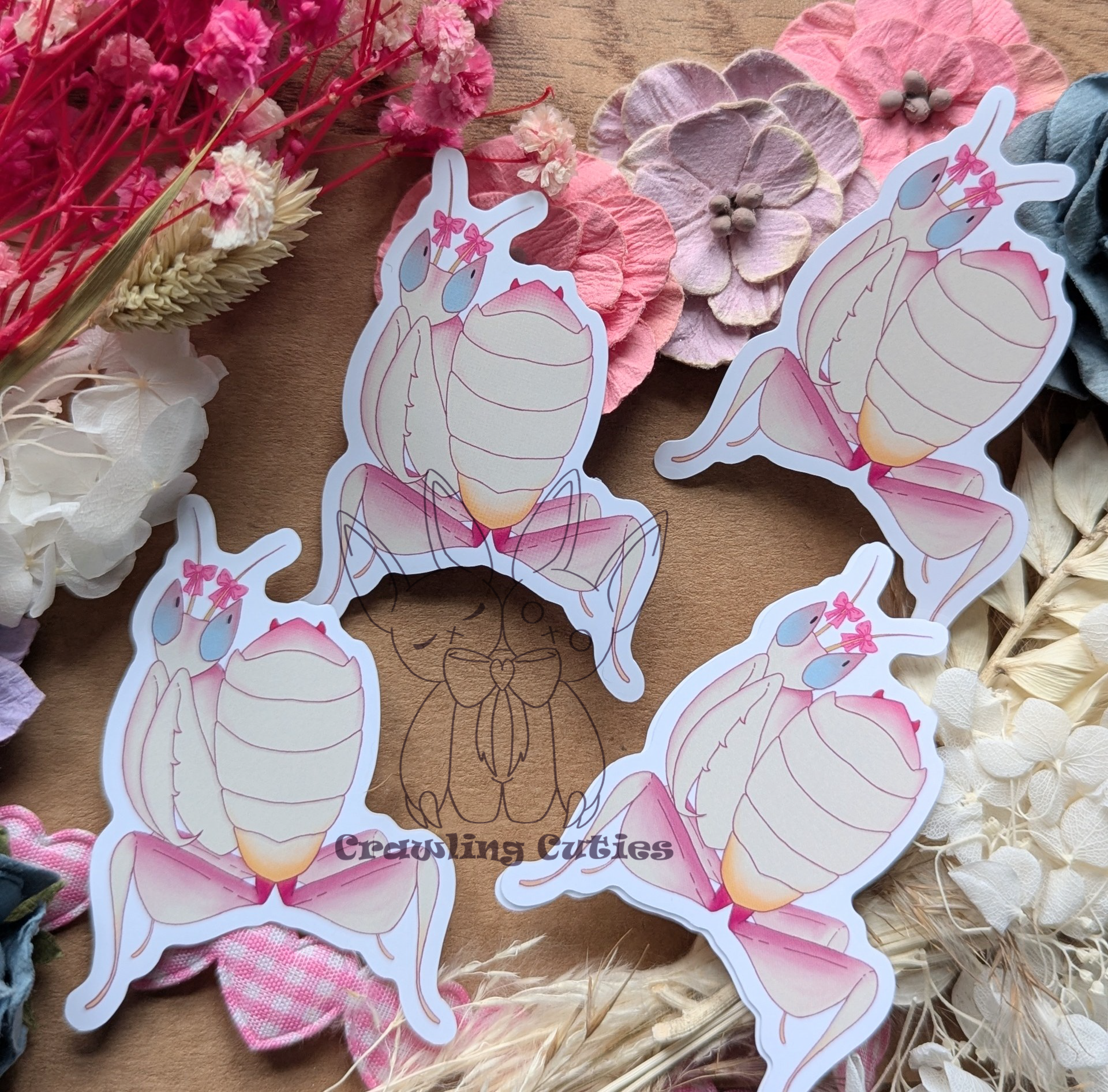 Shy mantis vinyl sticker