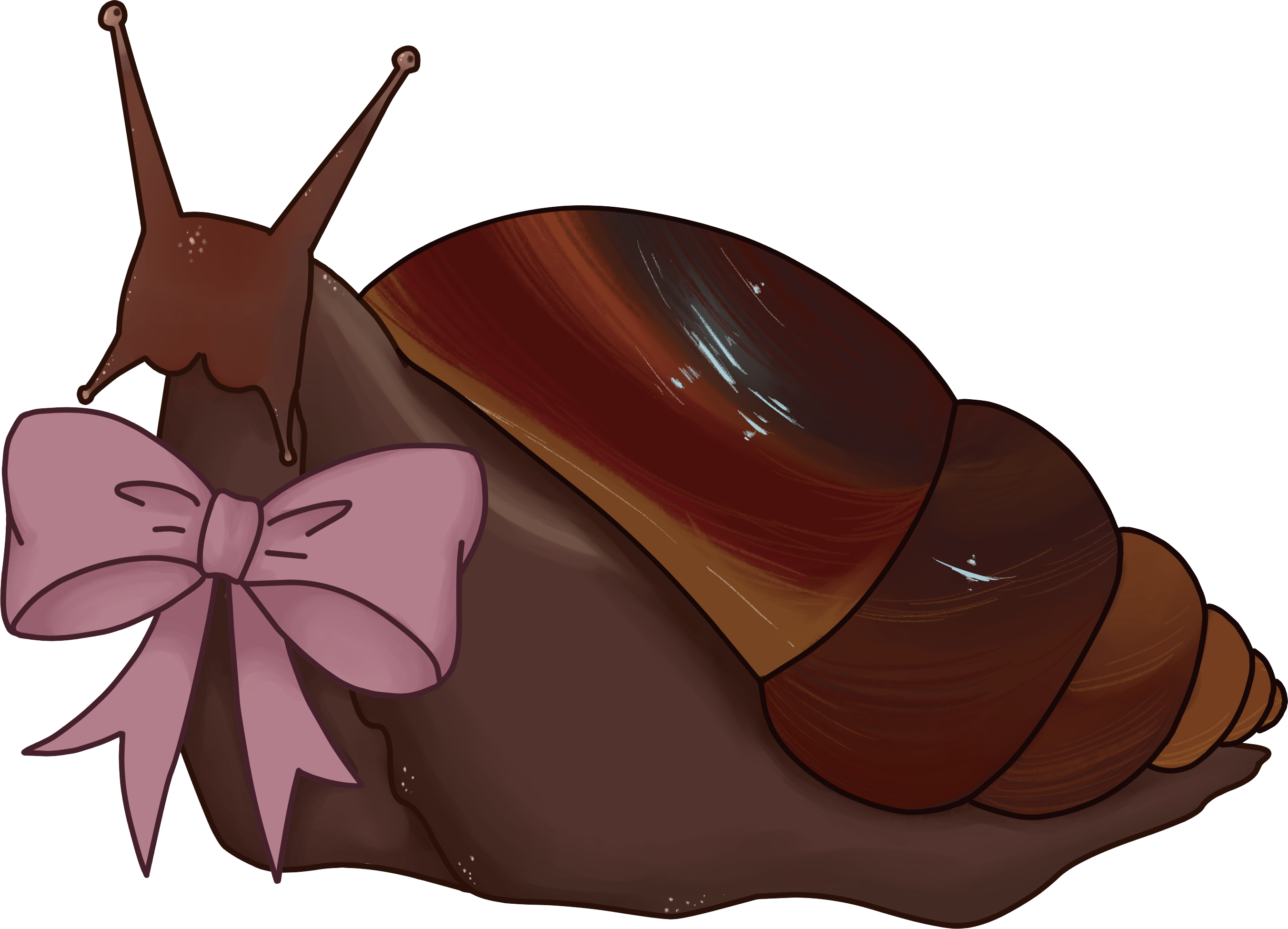 Giant African Land Snail Pin LARGE!