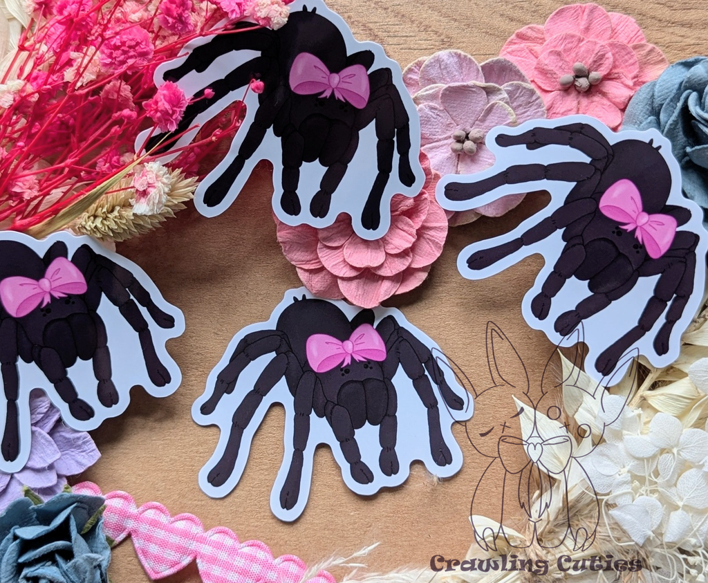 Pretty little tarantula vinyl sticker