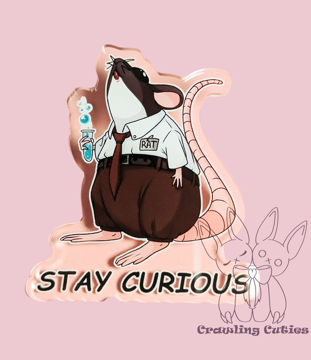 Stay curious! rat pin