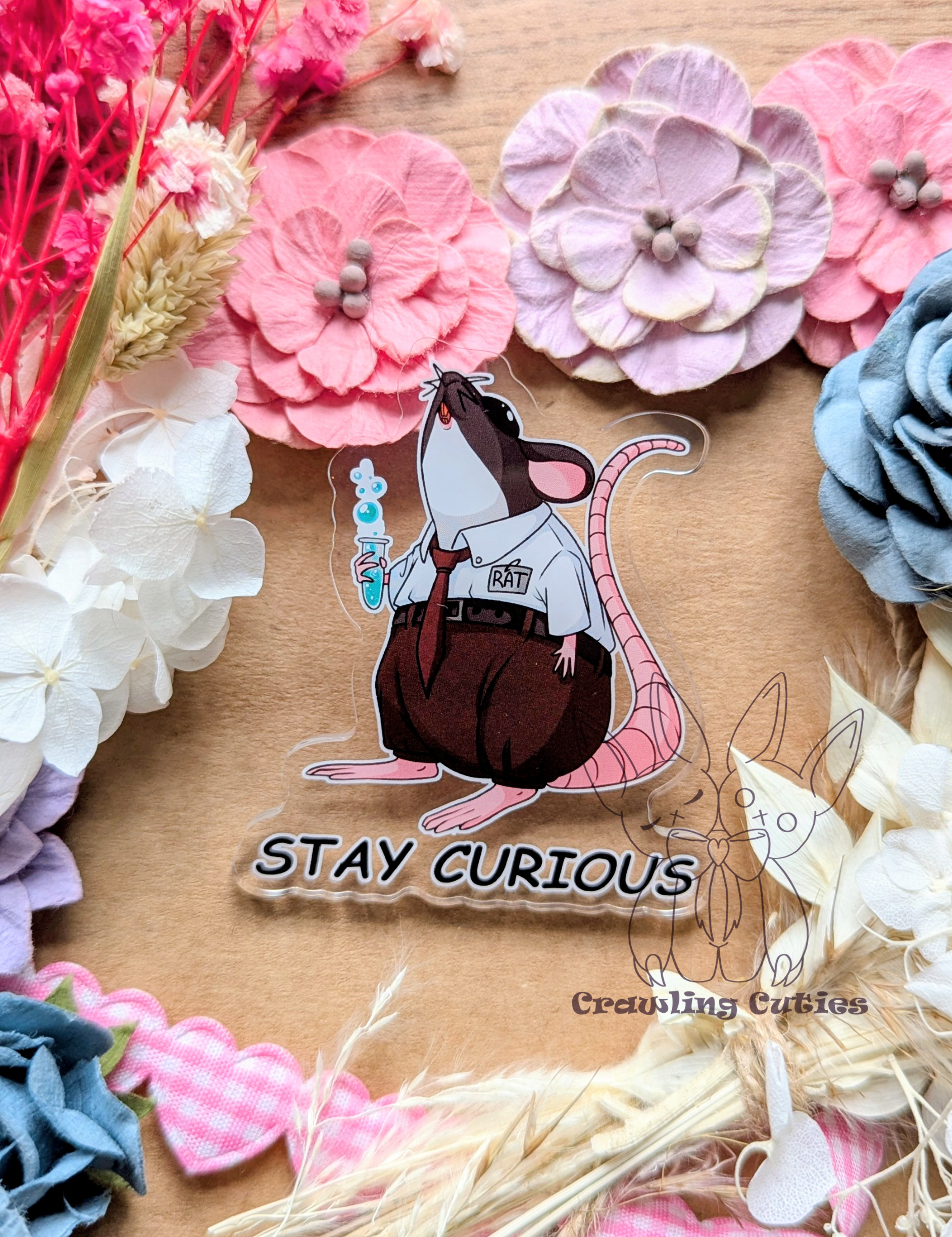 Stay curious! rat pin